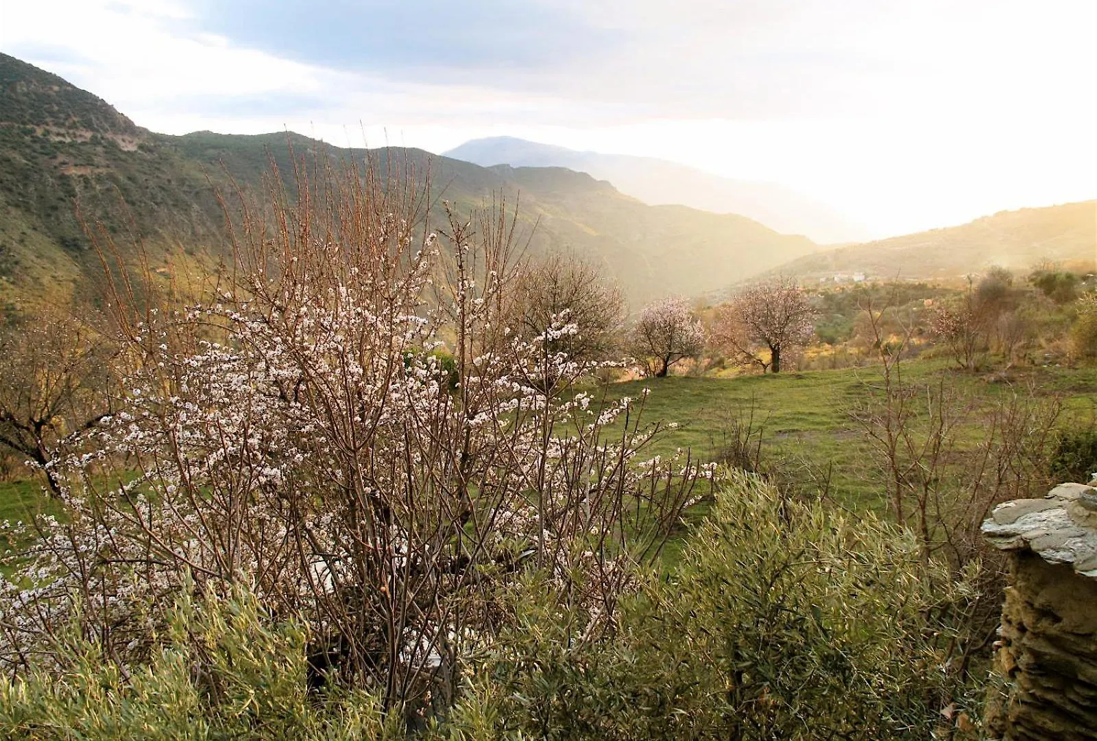 Rural House, Heated Pool & Steam Room, Casa Aloe. Atalbeitar 0*,