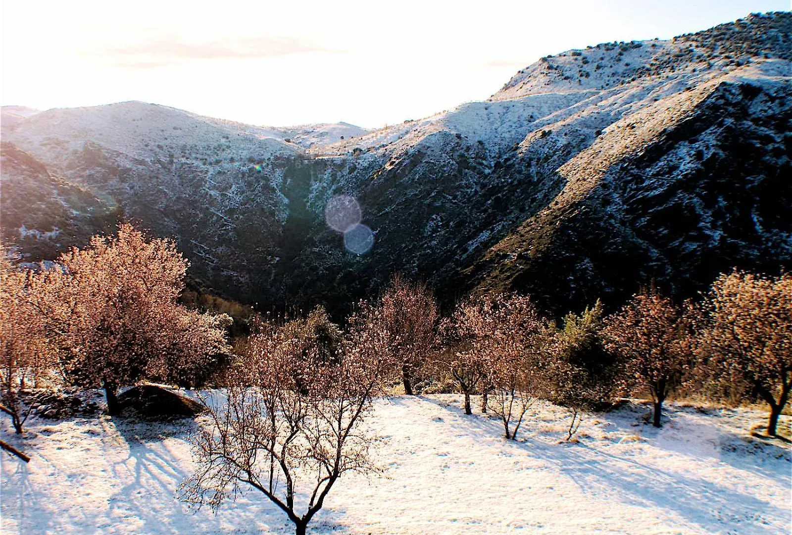 Rural House, Heated Pool & Steam Room, Casa Aloe. Atalbeitar Holiday home